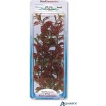Tetra Ludwigia repens - Red Ludwigia 15 cm – Zboží Dáma