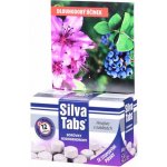 Silva Tabs Borůvky, rododendrony 250g – Zboží Dáma