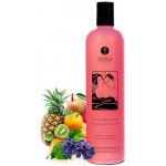 Sprchový gel Shunga Exotic Fruits 500 ml – Zboží Dáma