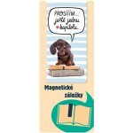 ALBI Magnetická záložka - Kapitola – Hledejceny.cz