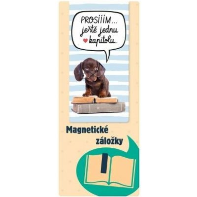 ALBI Magnetická záložka - Kapitola – Hledejceny.cz
