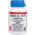 Sinecura BWO1.9 qingfeitang 60 tablet exp.1.9.2020 – Hledejceny.cz