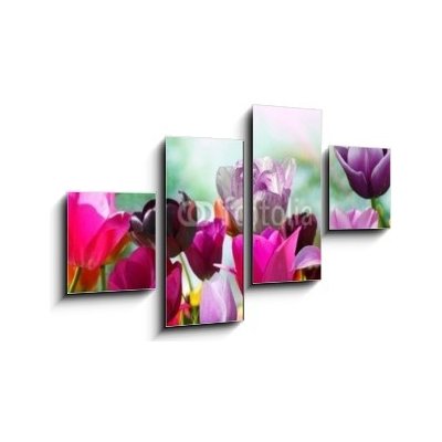 Obraz 4D čtyřdílný - 100 x 60 cm - Beautiful spring flowers, tulips Krásné jarní květiny, tulipány
