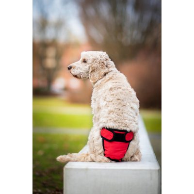 Vsepropejska Fixed červené Hárací kalhotky pro psa slabin 46 58 cm – Hledejceny.cz