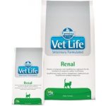 Vet Life Cat Renal 0,4 kg – Hledejceny.cz