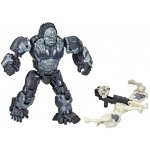 Hasbro Transformers Movie 7 dvojbalení figurek OPTIMUS PRIMAL & ARROWSTRIPE – Zbozi.Blesk.cz