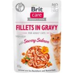 Brit Care Kitten Fillets in Gravy with Savory Salmon 85 g – Zboží Mobilmania