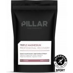 Pillar Triple Magnesium Powder sáček Lesní plody 200 g – Hledejceny.cz
