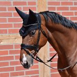 BUSSE Čabraka Calm II černá – Hledejceny.cz