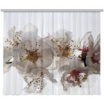 Fotozáclona AGdesign neprůhledná, květinový vzor 280 x 245 cm – Hledejceny.cz