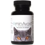 AMINAVAST Cat pro správnou funkci ledvin u koček 60 kapslí – Hledejceny.cz