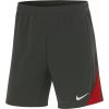 Nike TUR M NK DF STRK SHORT KZ