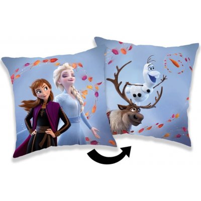 Jerry Fabrics Polštář Frozen 2 Wind 02 35x35 – Hledejceny.cz