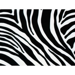 GEKKOFIX Samolepicí fólie Zebra 45 cm x 2 m