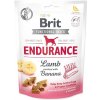 Pamlsek pro psa Brit Care Dog Functional Snack Endurance jehně 150 g