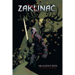 skleněný dům - Paul Tobin - Zaklínač – Hledejceny.cz