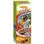 Avicentra Sticks Tyčinky ovoce / med pro velké papoušky 130 g – Sleviste.cz