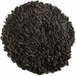 Biostan Biokron Slunečnice černá 5 kg – Zboží Dáma