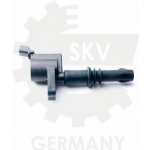 SKV Zapalovací cívka FORD MUSTANG 4.6 V8 2004- – Hledejceny.cz