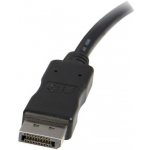 StarTech DP2DVIMM10 – Hledejceny.cz