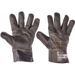 Cerva FRANCOLIN – Sleviste.cz