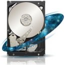 Seagate Constellation ES.2 3TB, 64MB, 7200rpm, ST33000650SS