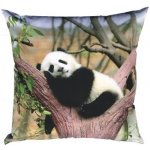 Dadka Fotopolštář Panda 40x40 – Zboží Dáma