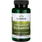 Swanson Boswellia Double Strenght 800 mg 60 kapslí – Hledejceny.cz