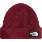 The North Face Salty Lined Beanie NF0A8CGZ-MV0 burgundy crash – Hledejceny.cz