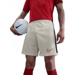 Nike Dri-Fit Academy 25 – Zboží Dáma