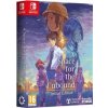 Hra na Nintendo Switch A Space For The Unbound (Special Edition)
