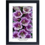 TRADAG Natura 21 x 29,7 - A4 černý – Zboží Živě