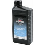 Briggs & Stratton 5W-30 1 l – Sleviste.cz