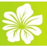 Mercisalon Samolepky na zeď - Kytka 1 (15 cm x 15 cm) – Hledejceny.cz