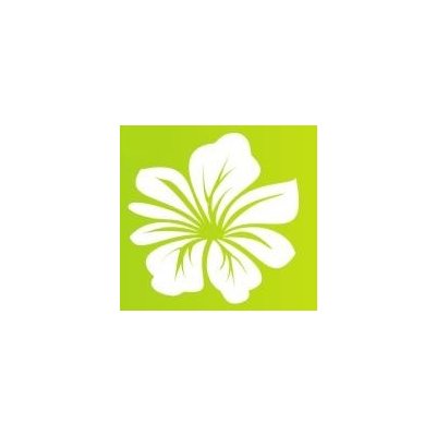 Mercisalon Samolepky na zeď - Kytka 1 (15 cm x 15 cm) – Hledejceny.cz