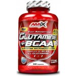 Amix Glutamine micro powder 360 kapslí – Hledejceny.cz