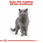 Royal Canin British Shorthair Gravy 12 X 85 g – Sleviste.cz