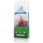 Energys Nature Kukuřičné vločky 15 kg – Zboží Mobilmania