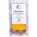 Pragon Sedoulek japonský Ofiopogon Mai men dong 40 g – Zbozi.Blesk.cz
