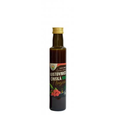 Salvia Paradise Kustovnice čínská 100% šťáva Bio 250 l