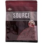 Dynamite Baits boilies Source 1 kg 10 mm – Sleviste.cz