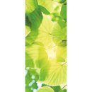 Dimex D-054 samolepící fototapeta na dveře LEAVES rozměry 95 x 210 cm