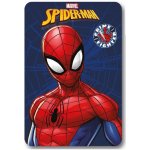Faro Dětská fleecová deka POLAR SPIDER MAN II modrá – Sleviste.cz