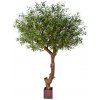 Květina Luxusní umělý strom NAT. OLIVOVNÍK STROM POLY T, 270 cm