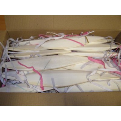 Zagers Vogelvoeders Sépiová kost pravá broušená 20-30 cm 2 kg – Hledejceny.cz