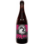 Nachmelená Opice IPA 14° 0,75 l (sklo) – Sleviste.cz