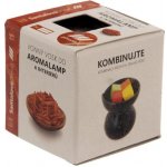 Rentex vonný vosk palmový do aroma lampy kostky Santalové dřevo 8 ks 30 g – Zboží Dáma