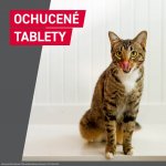 Frontcontrol Wormer pro kočky 4 kg 2 tablety – Zboží Mobilmania