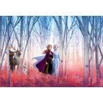 Komar 8-4102 Fototapety Disney Frozen II přátelé navždy rozměr 368 cm x 254 cm