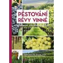 Kniha Pěstování révy vinné - Moderní vinohradnictví - Pavel Pavloušek